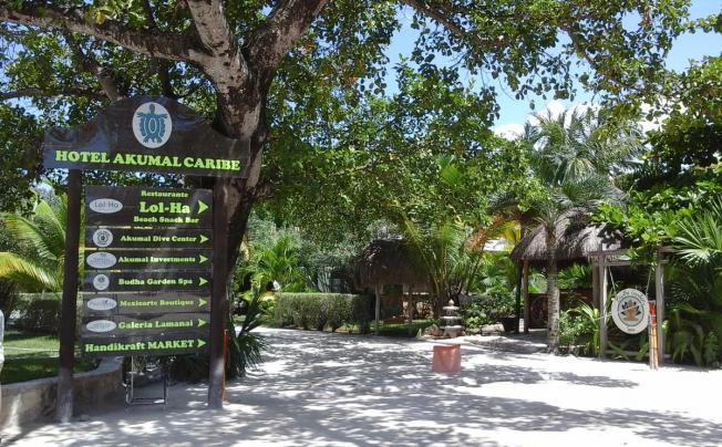 Фото отеля Club Akumal Caribe Hotel