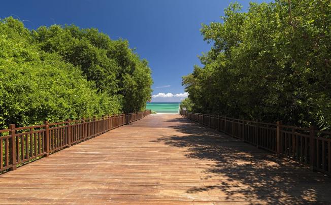 Фото отеля PARADISUS PLAYA DEL CARMEN LA ESMERALDA