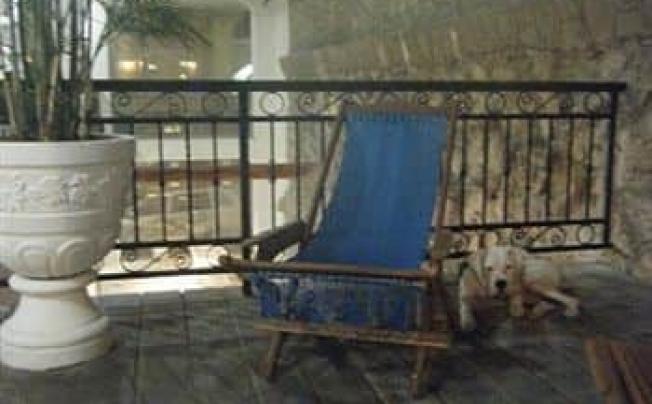 Фото отеля El Elefante Playa Del Carmen Hotel