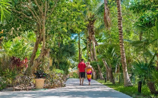 Фото отеля Marina El Cid Spa & Beach Resort