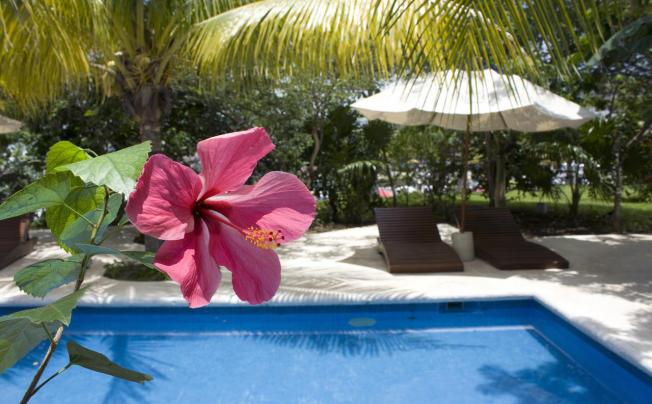 Фото отеля Sotavento Hotel & Yacht Club