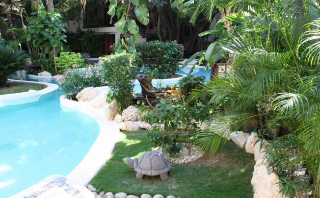 Фото отеля La Tortuga Hotel & Spa