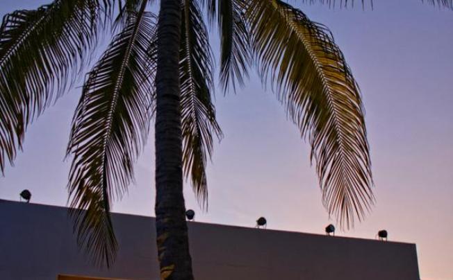 Фото отеля Oh! Cancun - The Urban Oasis