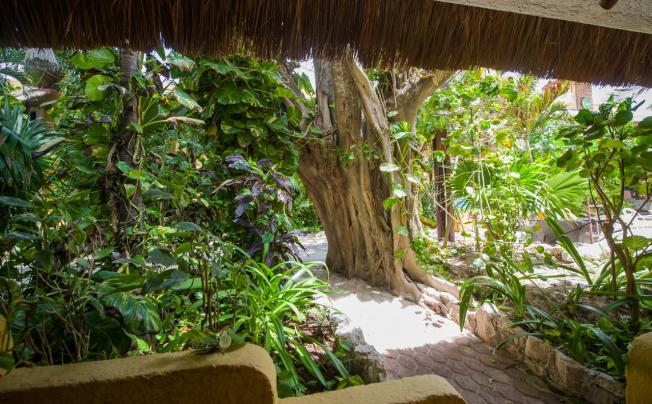 Фото отеля Colibri Beach hotel