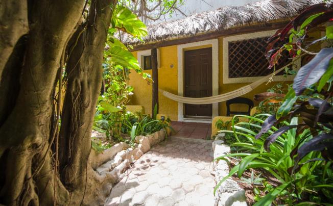 Фото отеля Colibri Beach hotel