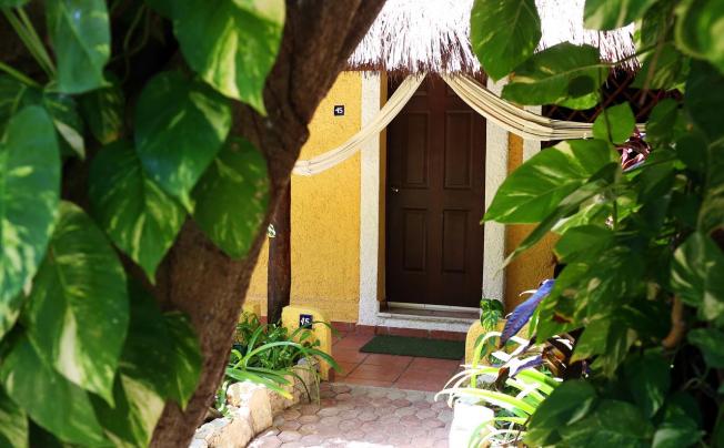 Фото отеля Colibri Beach hotel