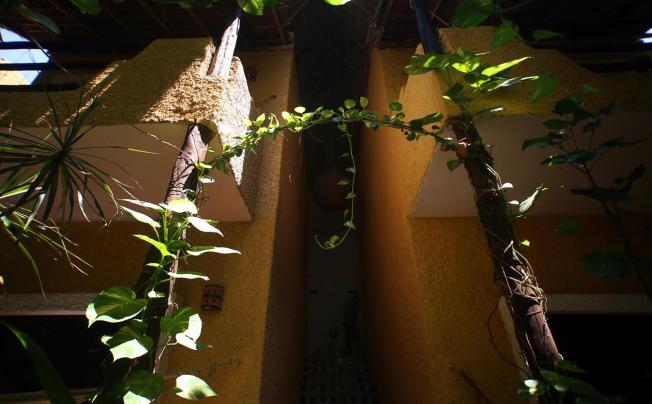 Фото отеля Colibri Beach hotel
