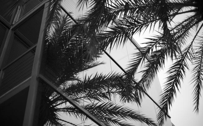 Фото отеля Las Gaviotas Hotel & Suites