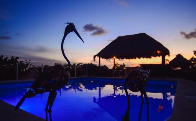 Фото отеля Encanto Riviera Condo Hotel