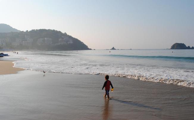 Фото отеля Fontan Ixtapa hotel