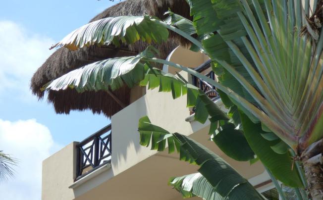 Фото отеля Riviera Del Sol hotel