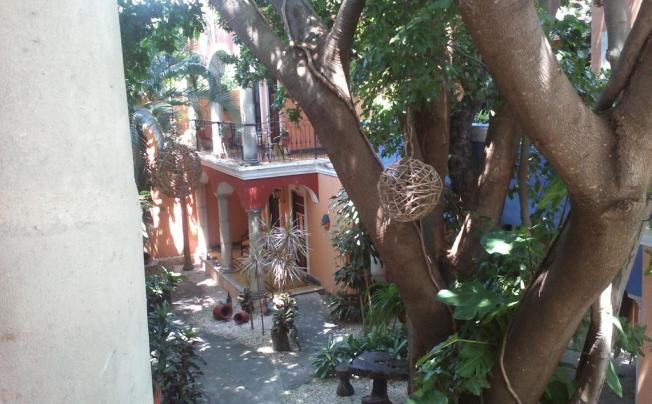 Фото отеля Casa De Las Flores Playa Del Carmen