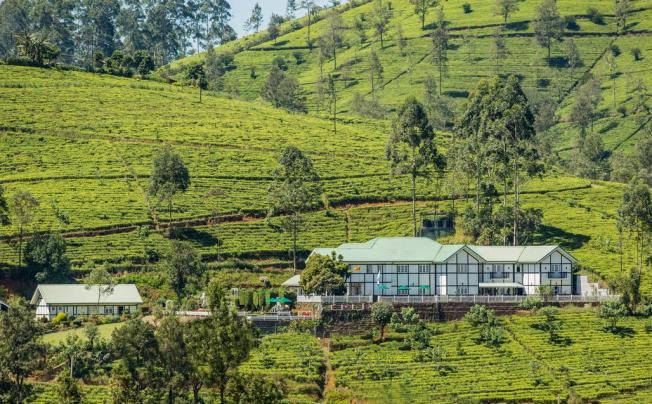 Фото отеля Amaya Langdale Nuwara Eliya