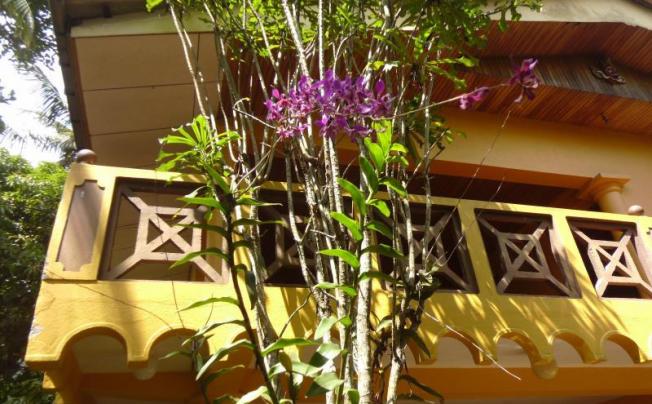 Фото отеля Jaya Inn hotel