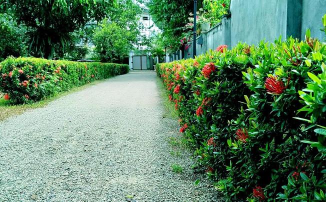 Фото отеля Nor Lanka Hotel Unawatuna