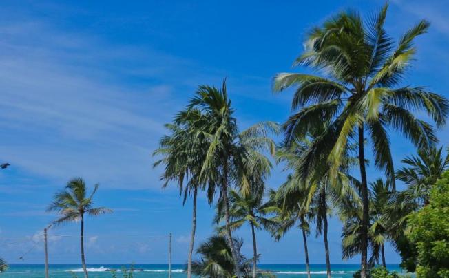 Фото отеля Wimal's Resort