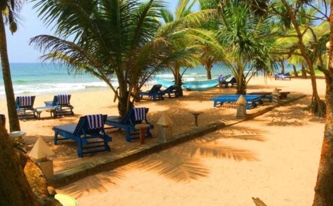 Фото отеля Oasey Beach Resort