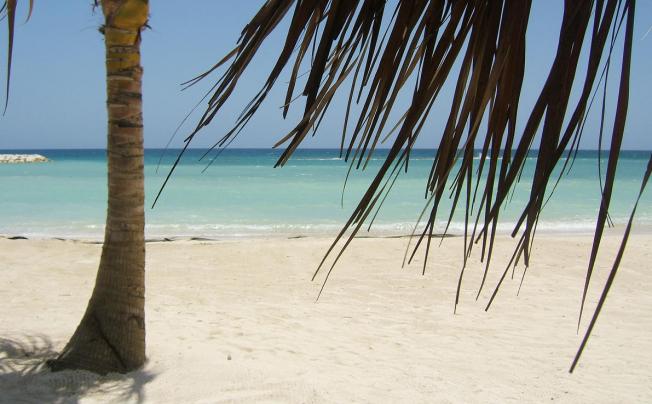 Фото отеля Grand palladium jamaica resort & spa