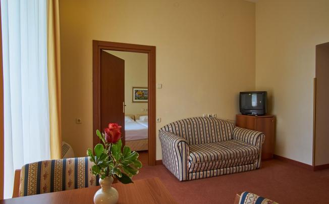 Фото отеля Villa Ruzica Hotel 