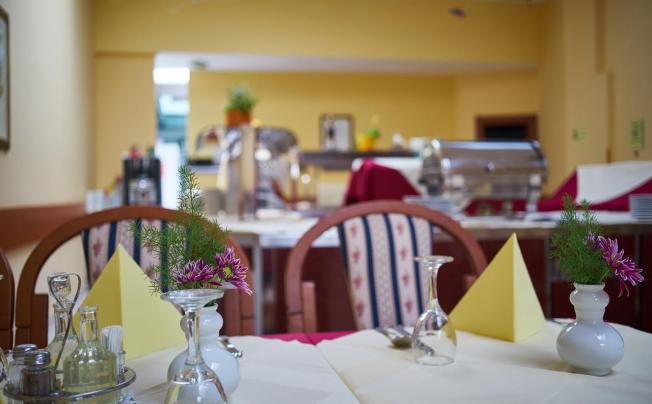 Фото отеля Villa Ruzica Hotel 