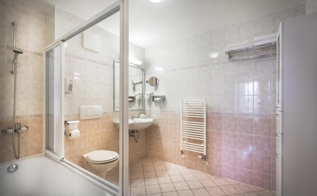 Фото отеля Valamar Zvonimir Hotel
