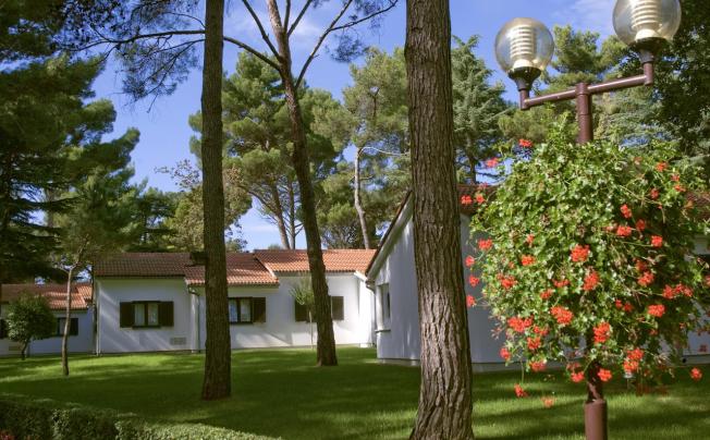 Фото отеля Apartments Galijot Plava Laguna