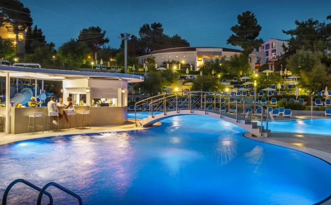 Фото отеля Pineta Hotel