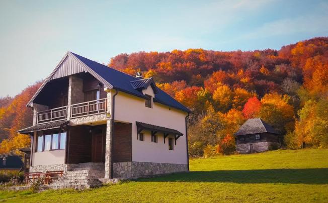 Фото отеля Villa Drijenak