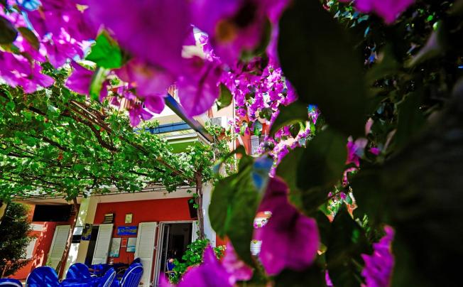 Фото отеля Villa Bajo