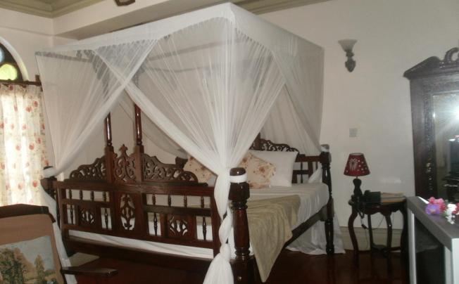 Фото отеля Asmini Palace Hotel