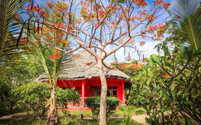Фото отеля Spice Island Hotel & Resort