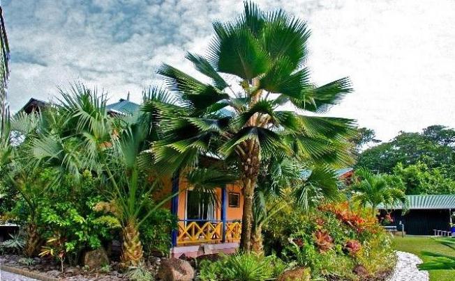 Фото отеля La Diguoise Guesthouse