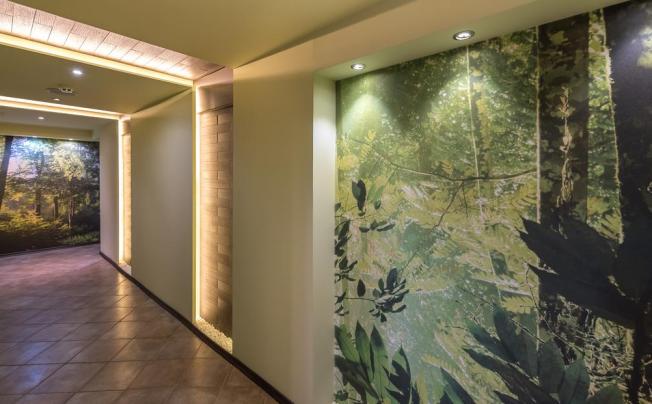 Фото отеля Lion Borovets Hotel 