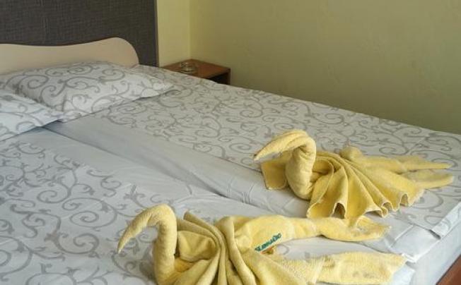 Фото отеля Balaton hotel