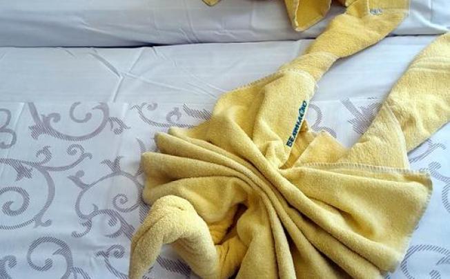Фото отеля Balaton hotel