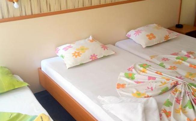 Фото отеля Balaton hotel