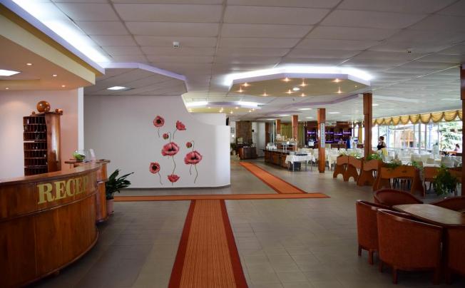 Фото отеля Balaton hotel