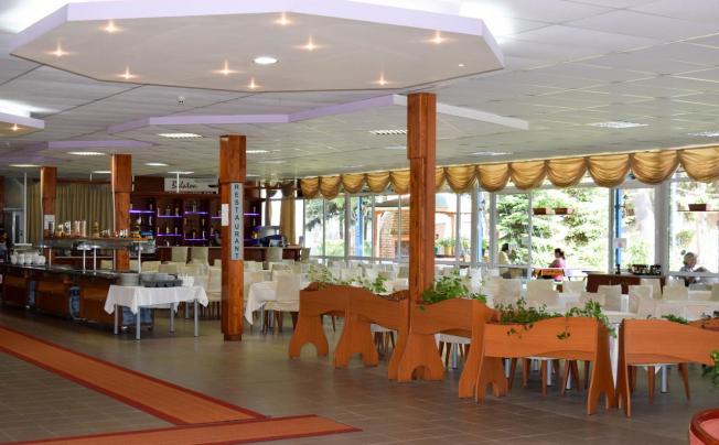 Фото отеля Balaton hotel