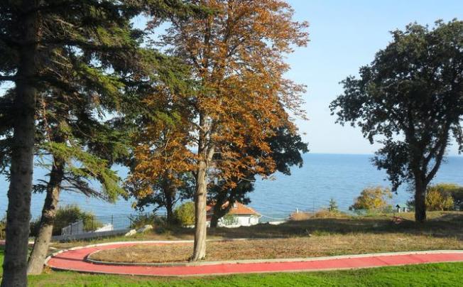 Фото отеля Sport Palace