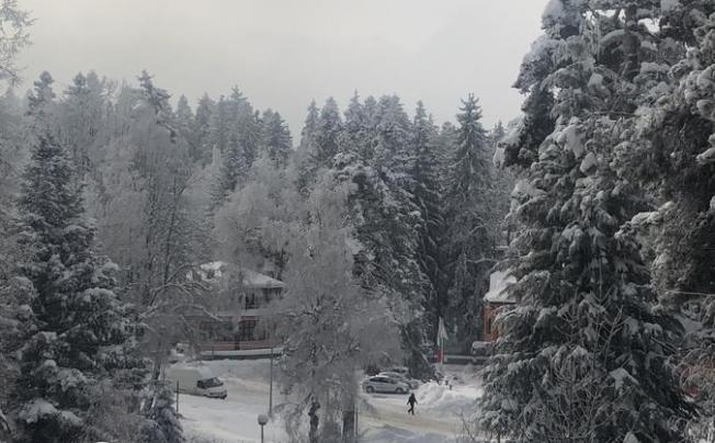 Фото отеля Bor Hotel Borovets