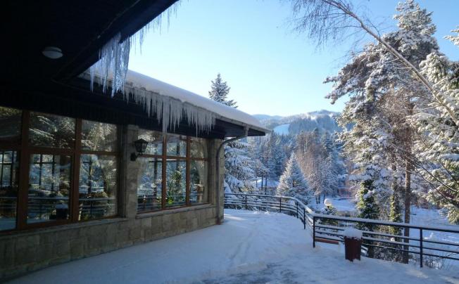Фото отеля Bor Hotel Borovets