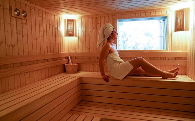 Фото отеля Bor Hotel Borovets