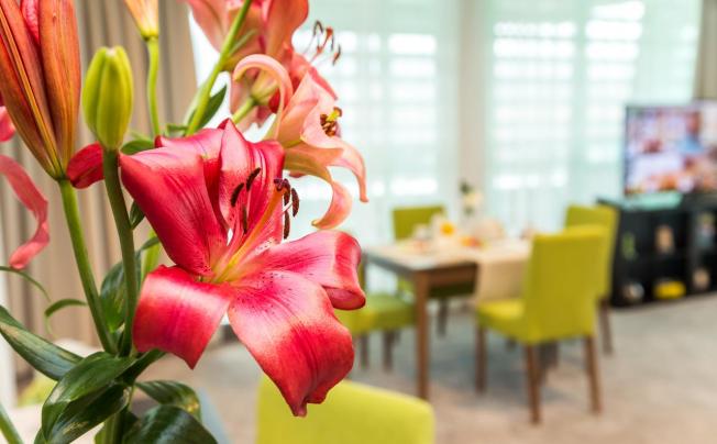 Фото отеля Earth & People Hotel & SPA