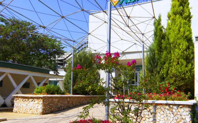 Фото отеля Althea hotel
