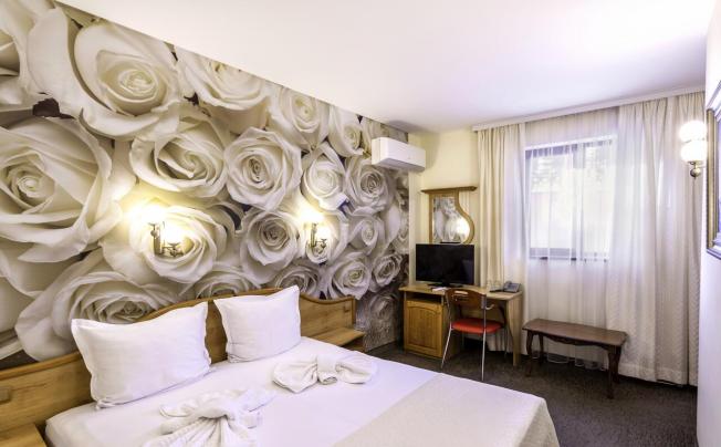 Фото отеля Dafi hotel Apartment