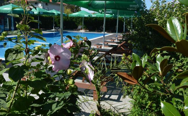 Фото отеля Iva Resort