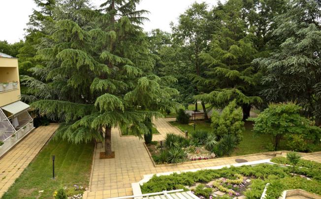 Фото отеля Glicinia hotel