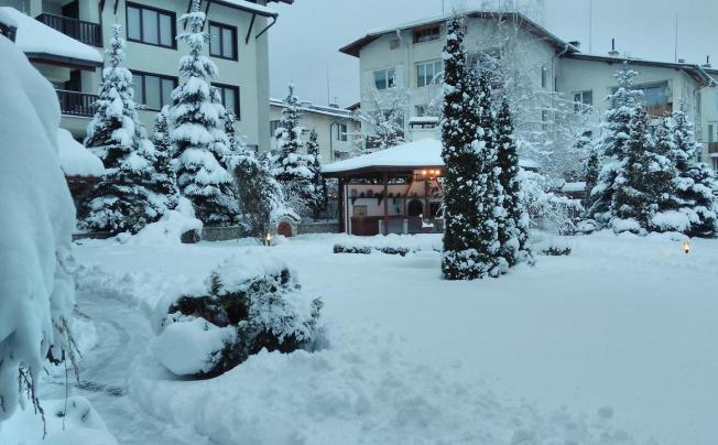 Фото отеля Evelina Palace Hotel