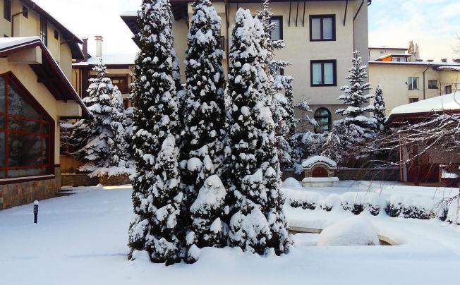 Фото отеля Evelina Palace Hotel