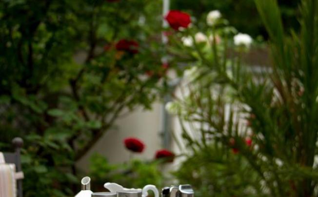 Фото отеля Albergo Giardino Hotel